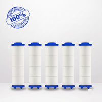 Filtres de remplacement pour pommeau de douche BALAXX™